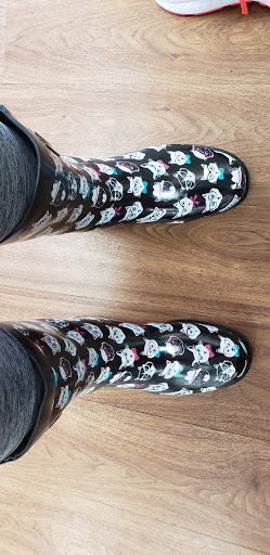 Shoe Store «Shoe Sensation», reviews and photos, 1005 Coshocton Ave, Mt Vernon, OH 43050, USA