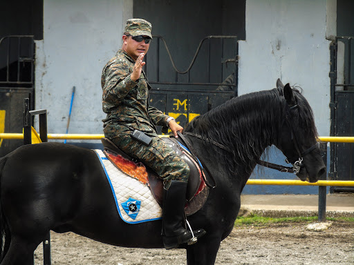 Escuela Militar de Equitación