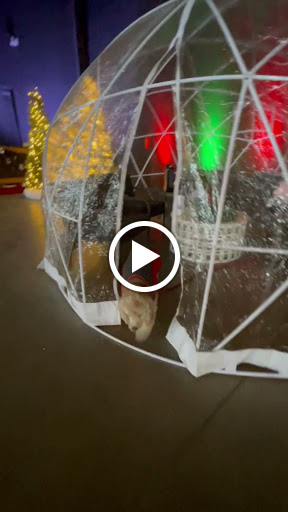 Live Music Venue «Ruoff Home Mortgage Music Center», reviews and photos