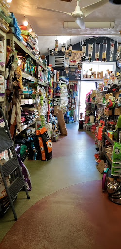 Pet Store «Essex Bird Shop & Pet Supply», reviews and photos, 121 Eastern Ave, Essex, MA 01929, USA