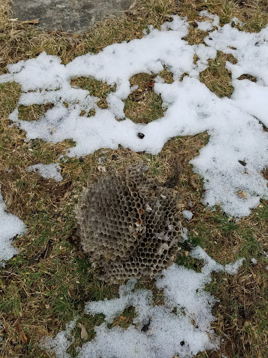 Golf Course «Richter Park Golf Course», reviews and photos, 100 Aunt Hack Rd, Danbury, CT 06811, USA