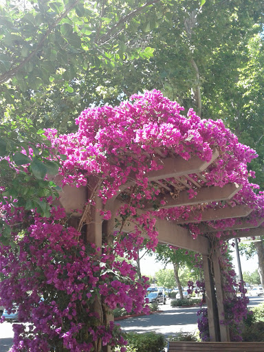 Pet Supply Store «PetSmart», reviews and photos, 1621 E Monte Vista Ave b, Vacaville, CA 95688, USA