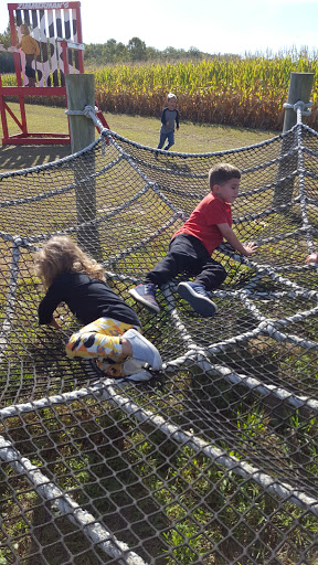 Dog Care «Hot Diggity Dog!», reviews and photos, 425 Salina Rd, Sewell, NJ 08080, USA