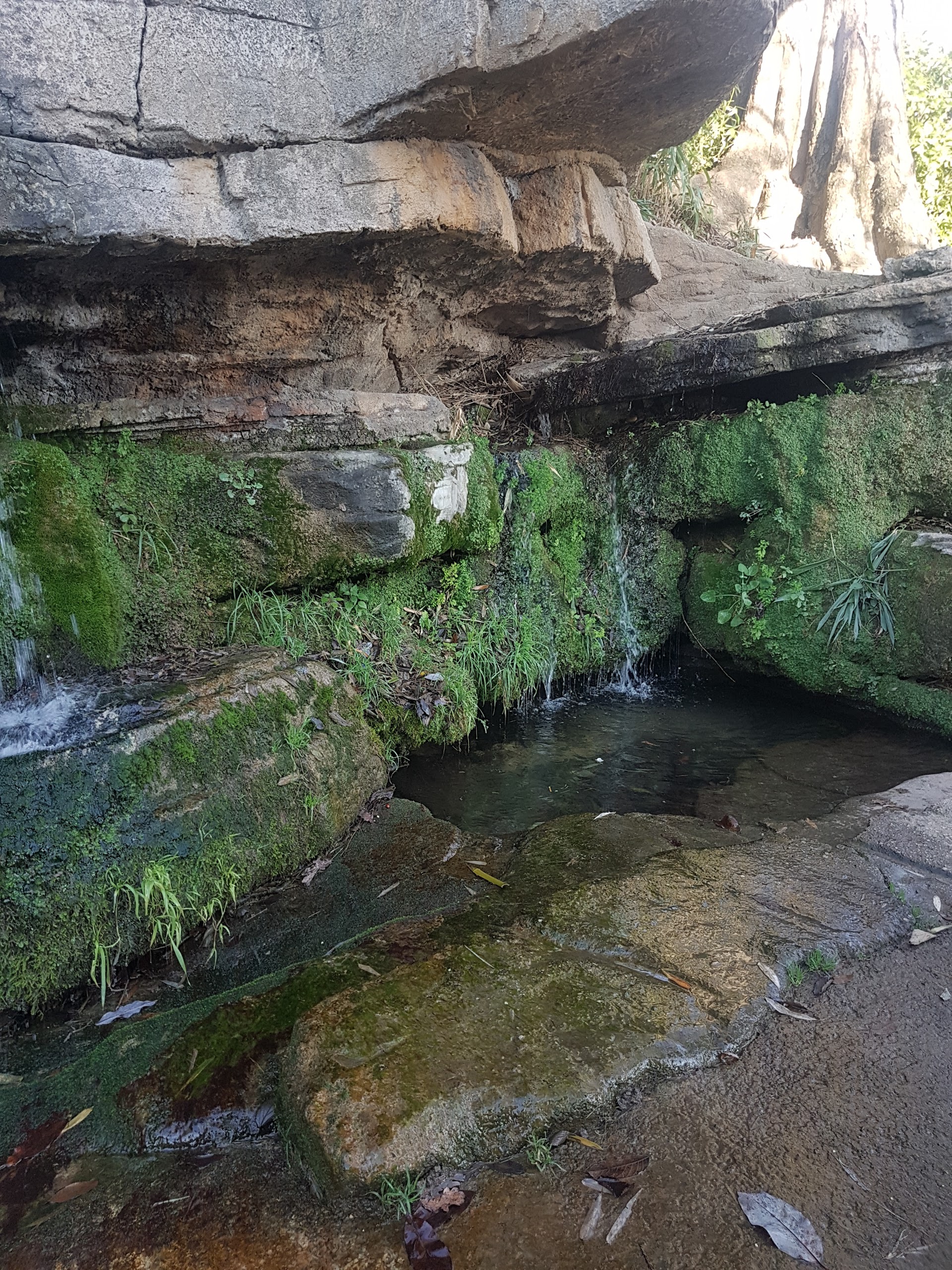 Photo n° 4 de l'avis de lorine.r fait le 13/01/2018 à 14:52
