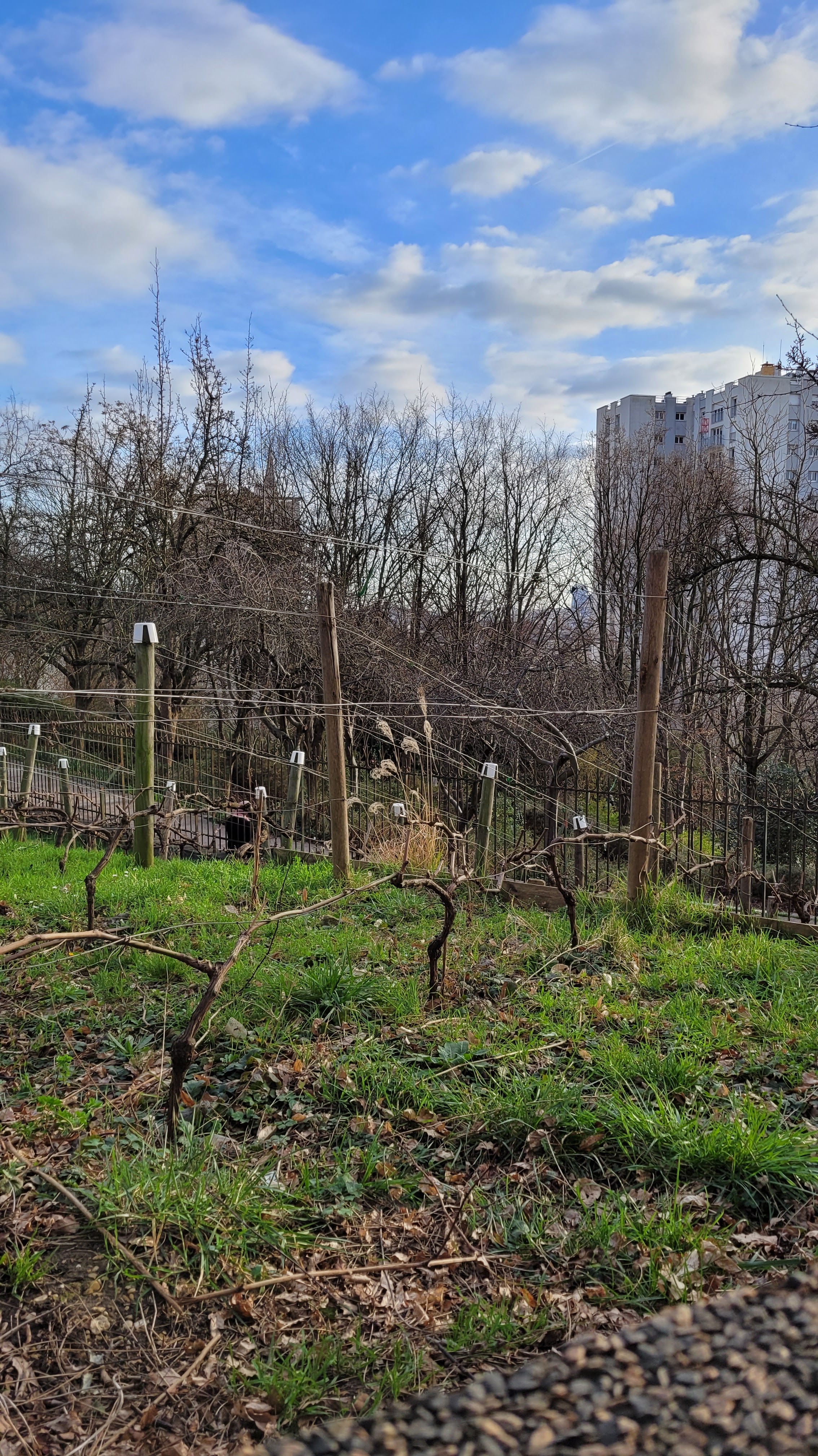 Photo n° 2 de l'avis de Pascal.A fait le 21/02/2024 à 20:11