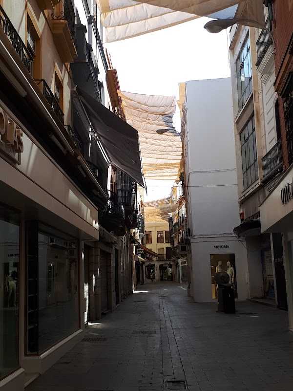 Imagen de Decathlon City Sevilla Rioja (10 de 17)