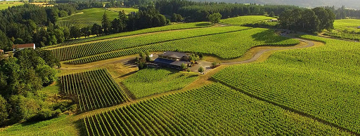 Winery «Trisaetum Winery», reviews and photos, 18401 NE Ribbon Ridge Rd, Newberg, OR 97132, USA