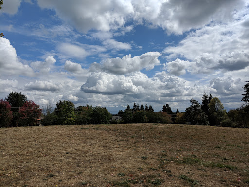 Park «132nd Square Park», reviews and photos, 13159 132nd Ave NE, Kirkland, WA 98034, USA