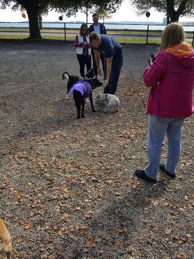 Dog Park «South Boston Bark Park», reviews and photos, 1280 Columbia Rd, Boston, MA 02127, USA