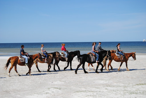 Stables at Cedar Island Ranch - Horseback Riding