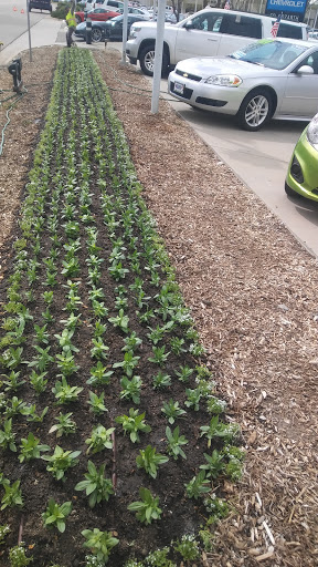 Chevrolet Dealer «Ed Bozarth #1 Park Meadows Chevrolet», reviews and photos, 8351 Parkway Dr, Lone Tree, CO 80124, USA