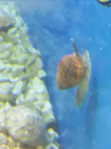 Pet Store «Pet World Warehouse Outlet», reviews and photos, 2984 S 108th St, Milwaukee, WI 53227, USA