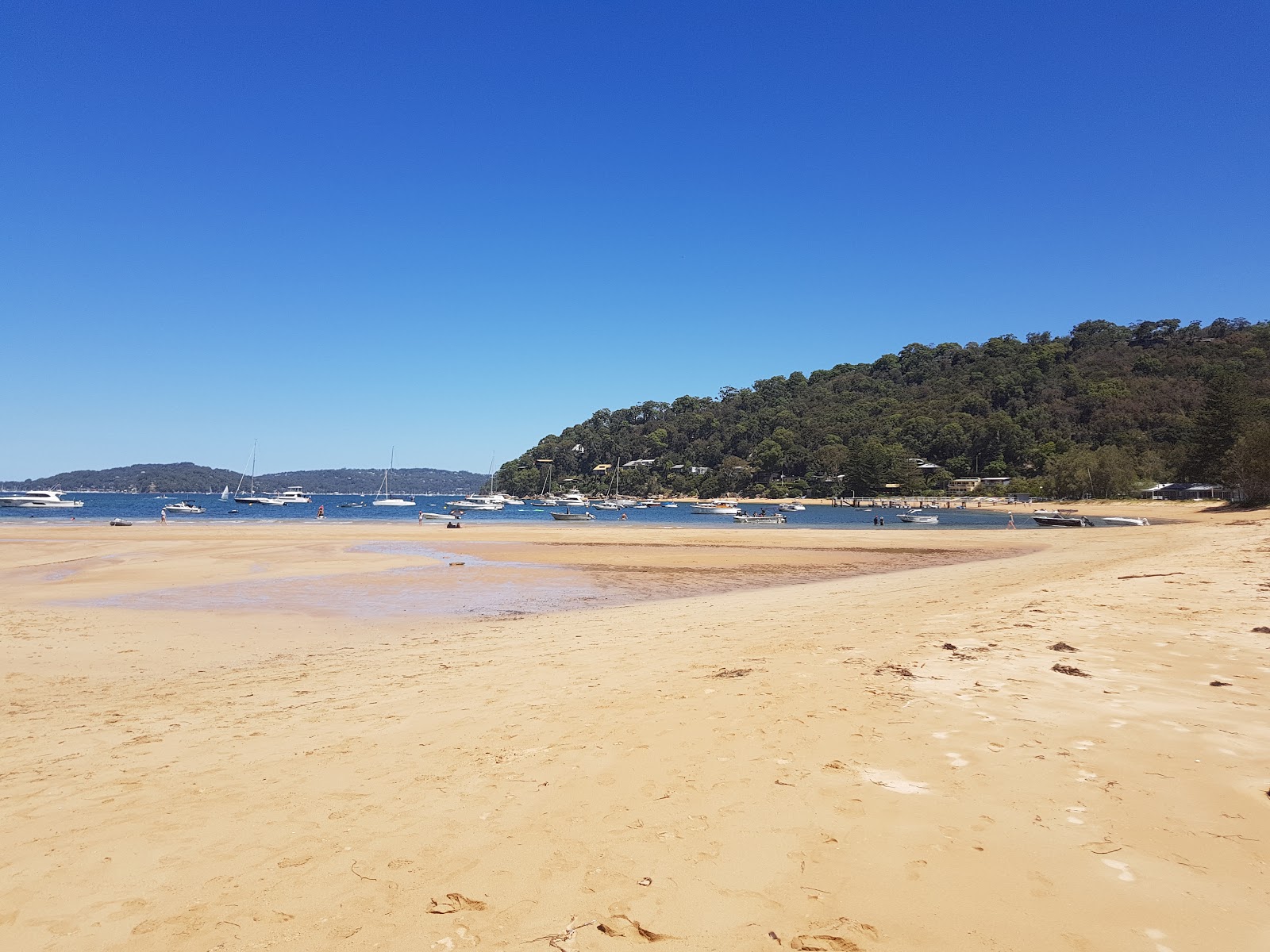 Foto de Great Mackerel Beach e o assentamento