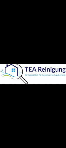 TEA Reinigung - Thun