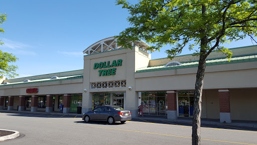 Dollar Store «Dollar Tree», reviews and photos, 423 US-46, Dover, NJ 07801, USA