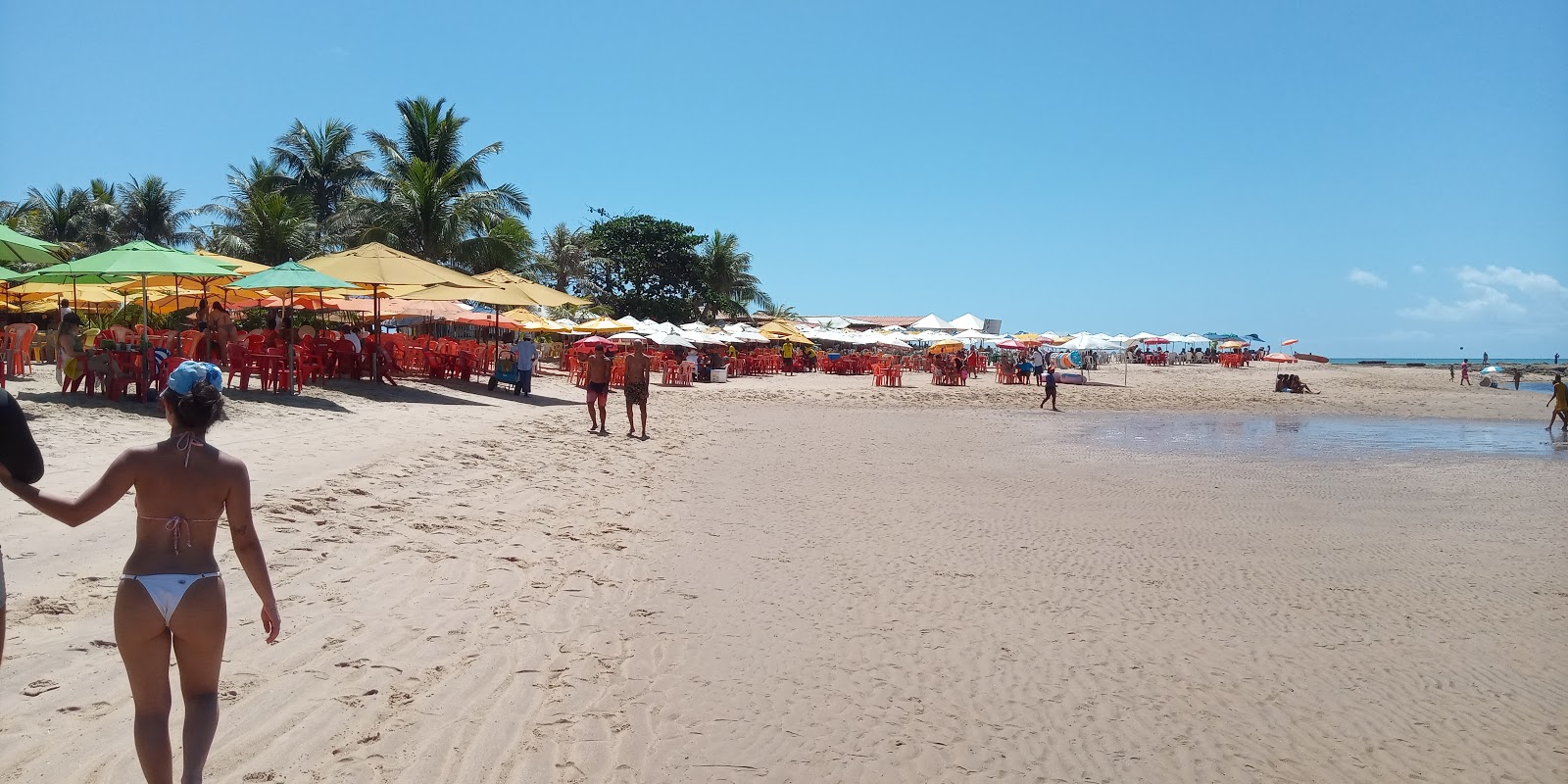 Foto de Praia da Barra área de servicios