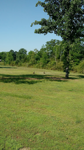 Supermarket «Walmart Neighborhood Market», reviews and photos, 2550 Prince St, Conway, AR 72034, USA