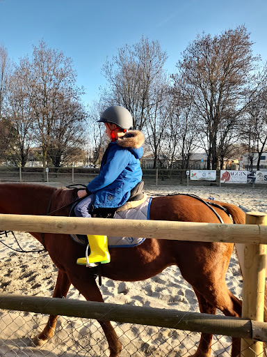 Scuola di equitazione Padova