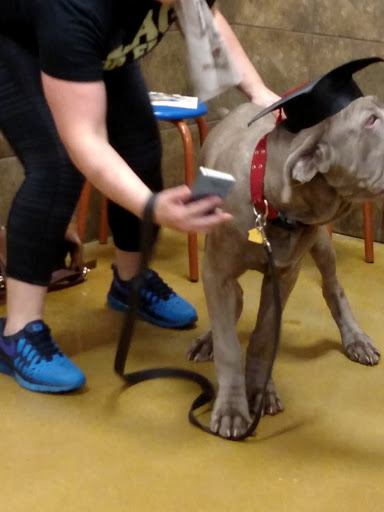 Pet Supply Store «PetSmart», reviews and photos, 131 Town Center Rd, King of Prussia, PA 19406, USA