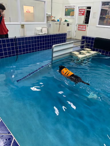 Pet Supply Store «Pet Depot Inc», reviews and photos, 2151 Greenspring Dr, Lutherville-Timonium, MD 21093, USA