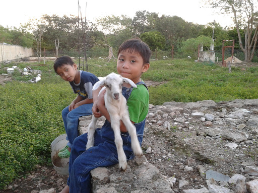 Granja Caprina Le Siibalo (El Regalo)