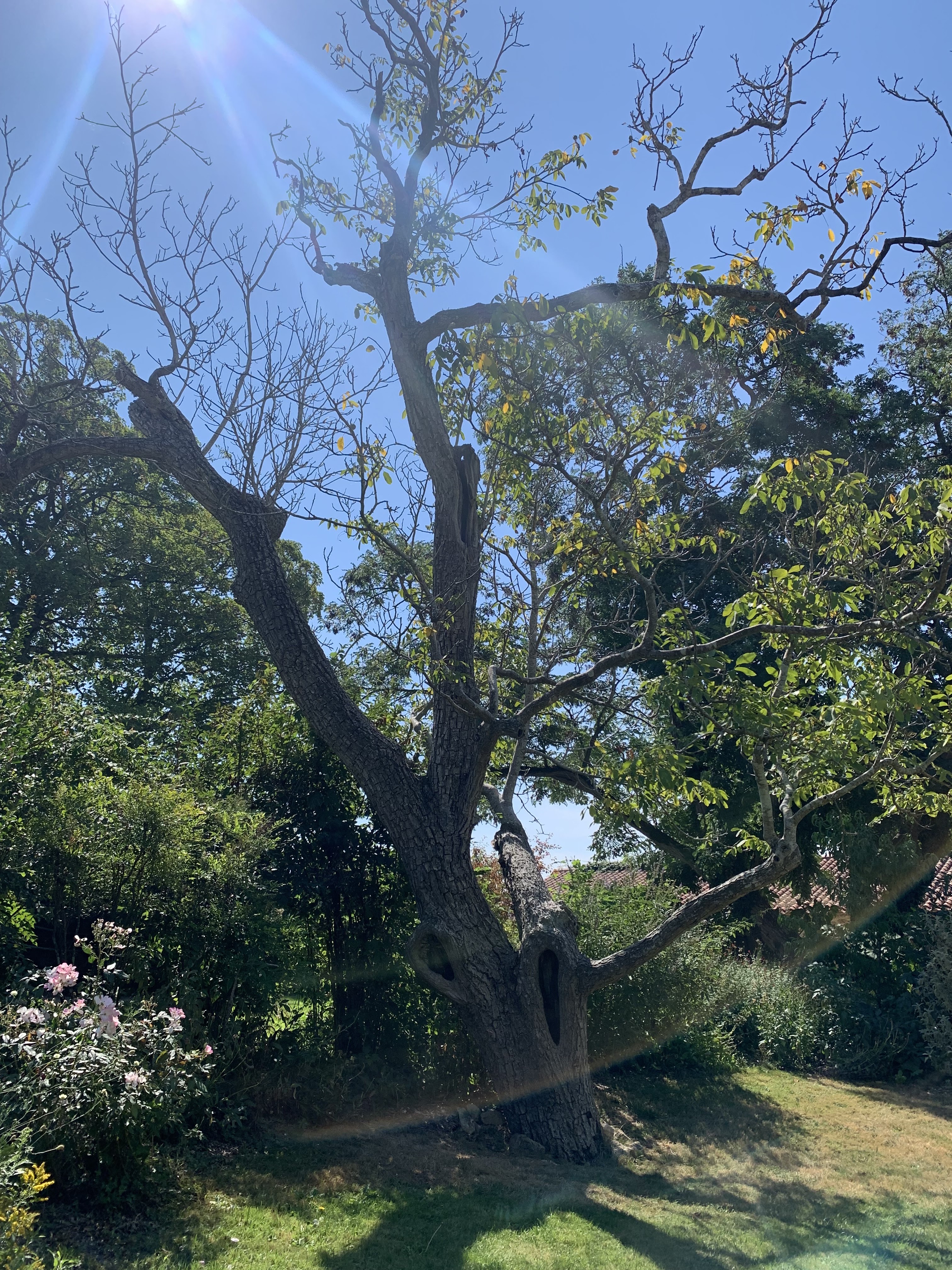 Photo n° 1 de l'avis de Bastien. fait le 09/08/2022 à 10:32