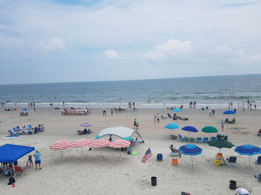 Tourist Attraction «Beach Access», reviews and photos, Alantic Ave, Pawleys Island, SC 29585, USA