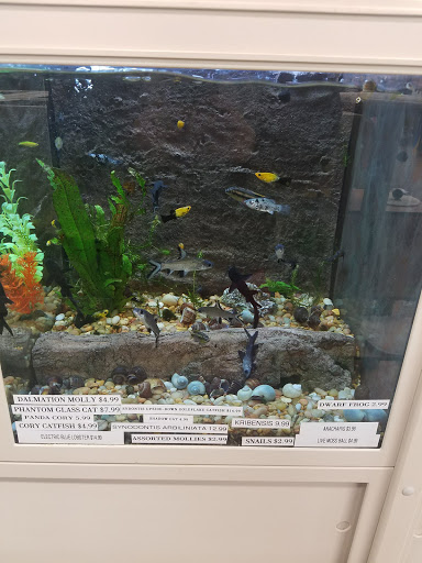 Pet Supply Store «Premier Pet Supply», reviews and photos, 15399 Merriman Rd, Livonia, MI 48154, USA