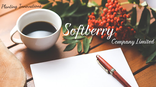 บริษัท ซอฟต์เบอร์รี่ จำกัด (Softberry Co., Ltd.)