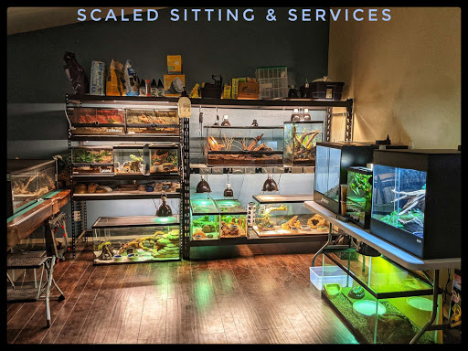 Scaled Sitting & Services