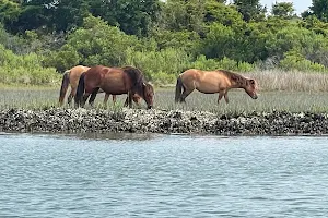 Rachel Carson Reserve image