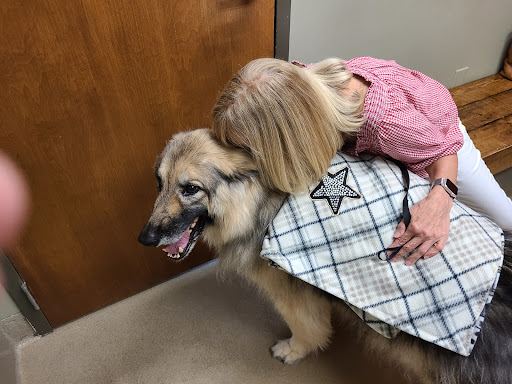 Pet Care Clinic of the High Country image