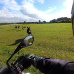 Photo n°3 de l'avis de Eric.e fait le 13/12/2020 à 13:05 sur le  Beckmann's Gasthof à Achterwehr