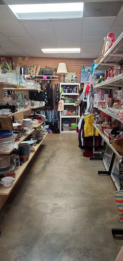 Pet Rescue Thrift Store, 3564 Central Ave, Riverside, CA 92506, USA, 