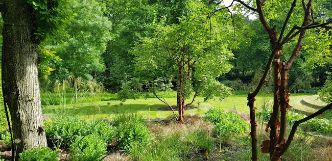 Reviews of Beetlestone's Garden Maintenance Ltd in Maidstone - Landscaper