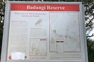 Badangi Reserve image