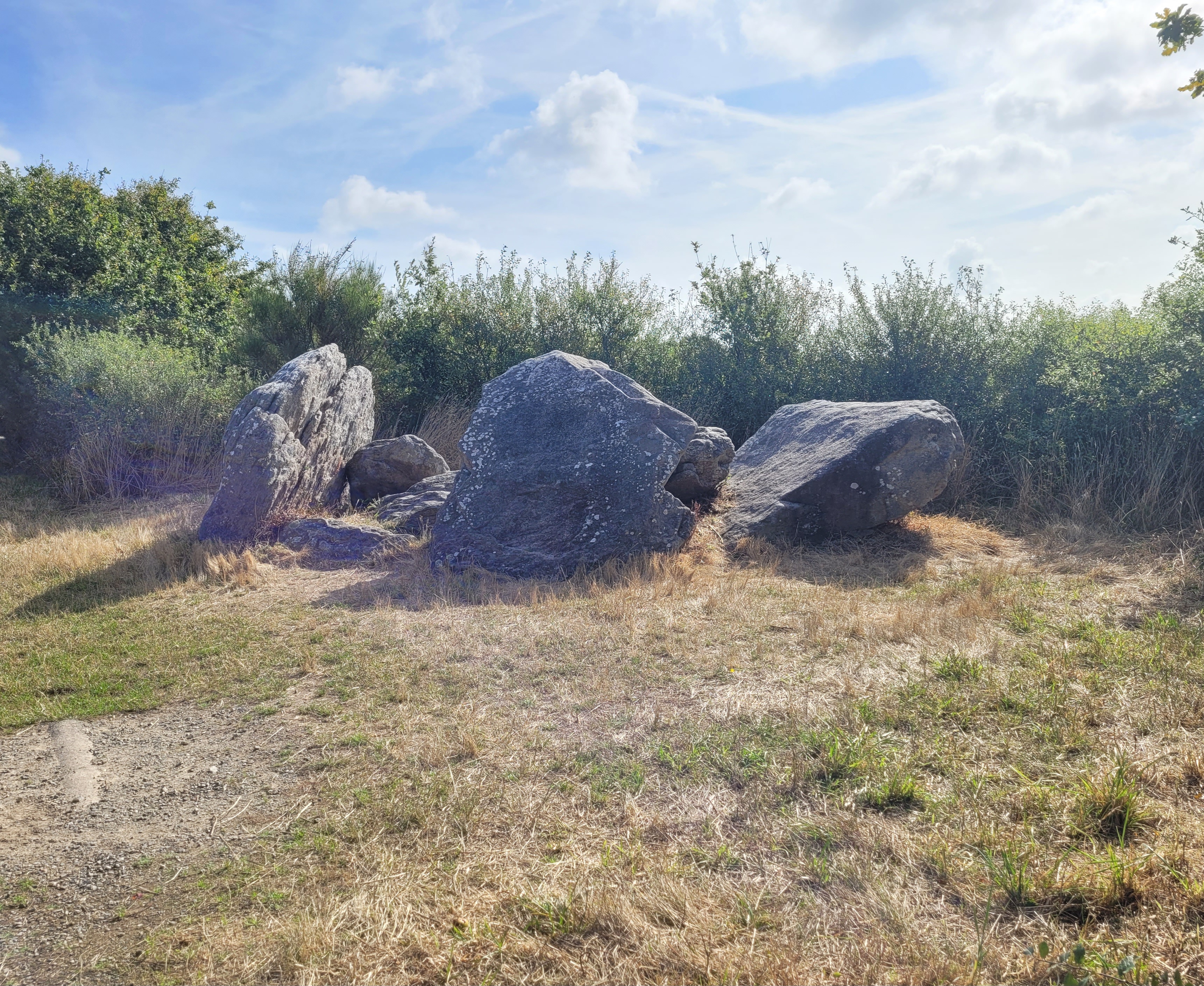Photo n° 4 de l'avis de Laëtitia.a fait le 30/07/2023 à 09:25