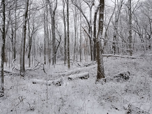 Hiking Area «Cowles Bog Trail», reviews and photos, 1618 N Mineral Springs Rd, Dune Acres, IN 46304, USA