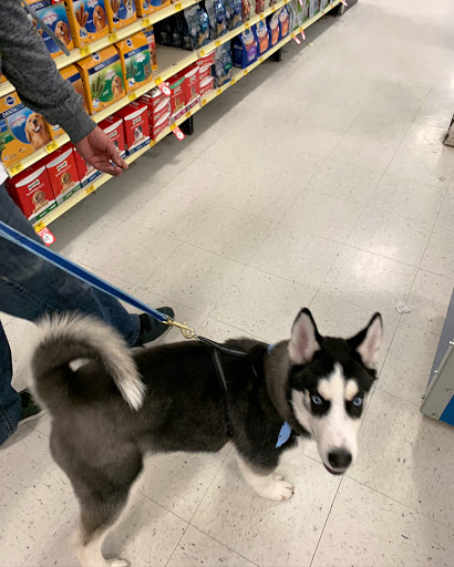 Pet Supply Store «PetSmart», reviews and photos, 3081 S 5600 W, Salt Lake City, UT 84120, USA