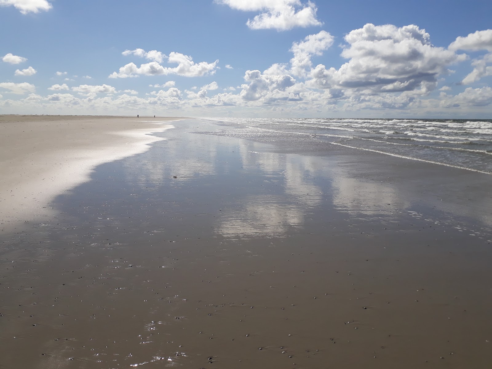 Foto af Billriff strand beliggende i naturområde