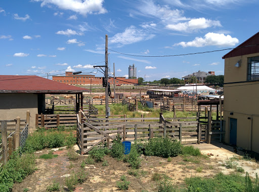 Museum «Stockyards Museum», reviews and photos, 131 E Exchange Ave # 113, Fort Worth, TX 76164, USA