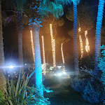 Photo n°14 de l'avis de Francesco.u fait le 07/10/2023 à 11:55 sur le  Il Pino D'Oro (Villa Mattia) à Torre del Greco