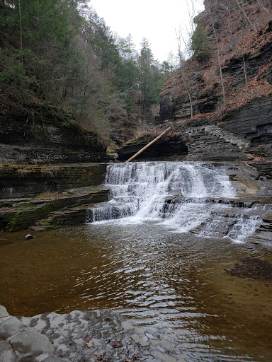 Robert H. Treman State Park image 6