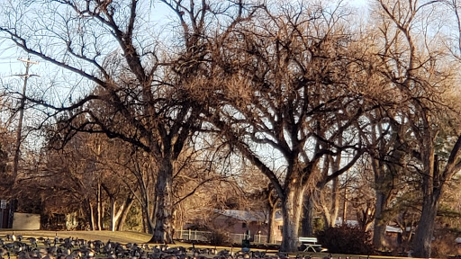 Golf Course «Elmwood Golf Course», reviews and photos, 3900 Thatcher Ave, Pueblo, CO 81005, USA