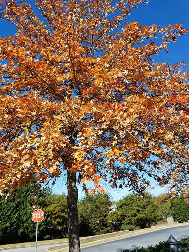 Supermarket «ALDI», reviews and photos, 1225 Scenic Hwy S, Lawrenceville, GA 30045, USA