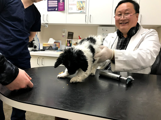 Animal Hospital of Manitoba image