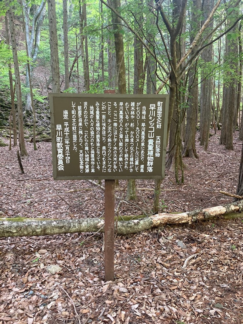 早川町指定天然記念物 早川シッコ山貴重植物群落