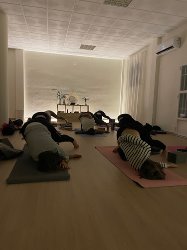 Raíz yoga studio