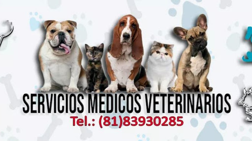 Servicios Médicos Veterinarios