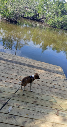 Park «Hammock Park», reviews and photos, 1945 San Mateo Dr, Dunedin, FL 34698, USA